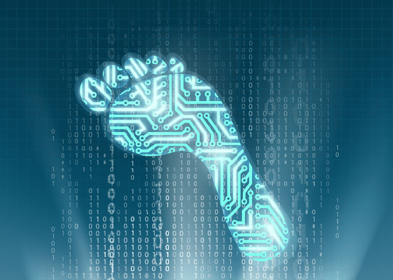 Digital Footprint Digital Footprint